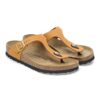 Cuir nubuck Gizeh Cuir nubuck Gizeh
