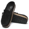 Cuir suédé Buckley Cuir suédé Buckley