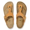 Gizeh Big Buckle en cuir nubuck