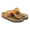 Gizeh Big Buckle en cuir nubuck
