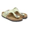 Gizeh Big Buckle en cuir nubuck