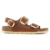 Milano Big Buckle en cuir naturel huilé