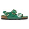 Milano Big Buckle en cuir naturel verni